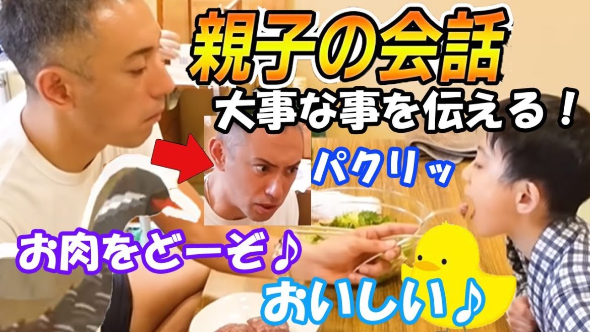 【市川海老蔵:歌舞伎:市川團十郎白猿】勸玄くんの楽屋ご飯。親子の会話が素晴らしい。「血糖値下がるとやばいの？」「KABUKUって今作られたの？」