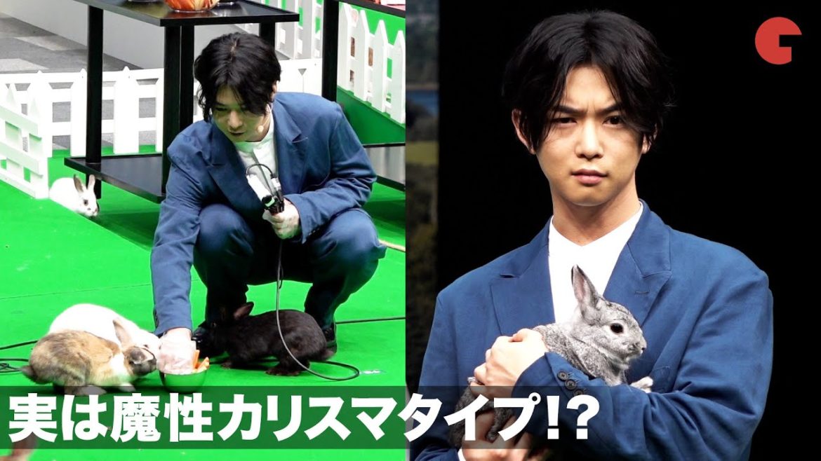 ウサギに好かれる千葉雄大、実は魔性カリスマタイプ!? 映画『ピーターラビット2／バーナバスの誘惑』ウサギ“超”まみれイベント