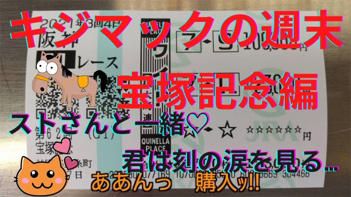 【競馬】キジマックの週末 ストマック馬券!?宝塚記念編【どらねこ】