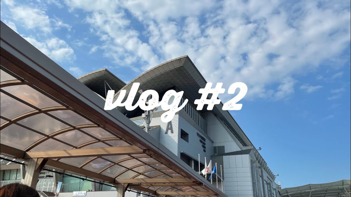 vlog #2 SZ10TH/ジャニオタ/vlog