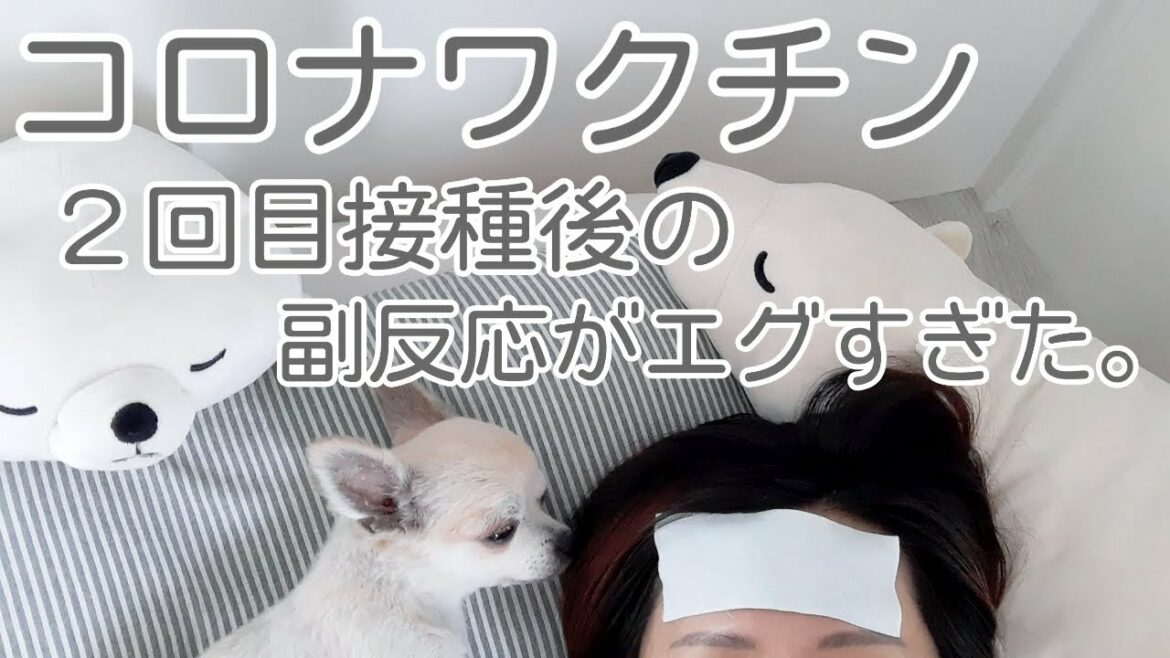 【コロナワクチン】２回目接種後の副反応記録。