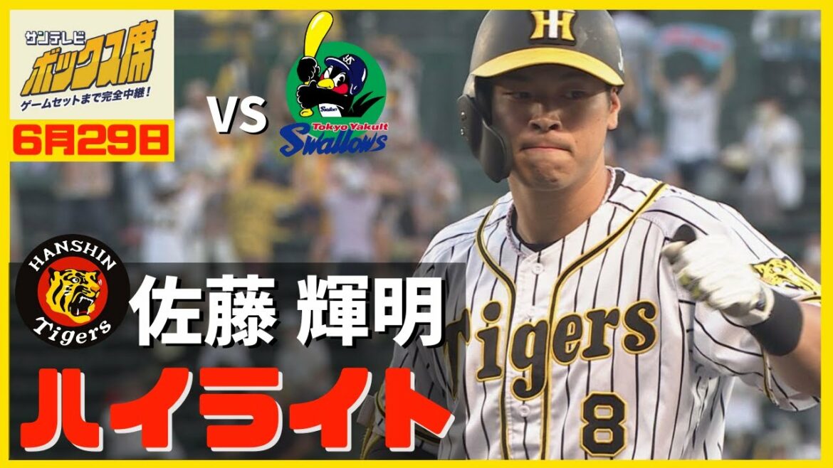 【佐藤輝明選手　全球ハイライト】6月29日 プロ野球 阪神 - ヤクルト　#サンテレビボックス席
