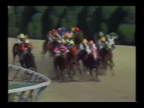 1990 3 桜花賞tr4歳牝馬特別 エイシンサニー News Wacoca Japan People Life Style