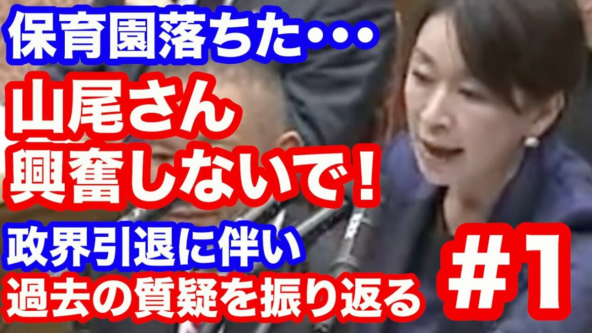 保育園落ちた・・・山尾志桜里(民進党)衆議院 予算委員会 2017年2月17日　政界引退に伴い過去の質疑を振り返る＃１【龍之介channel（政治ニュース）】