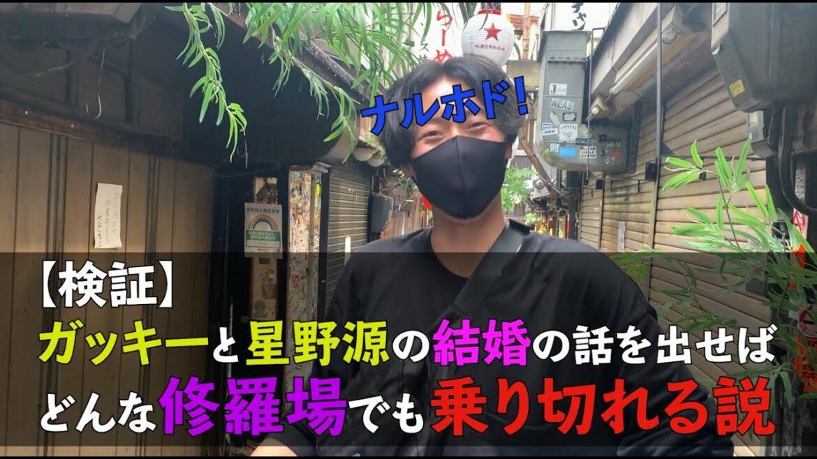 【検証】「星野源とガッキー結婚した」と言えばどんな修羅場でも乗り切れる説