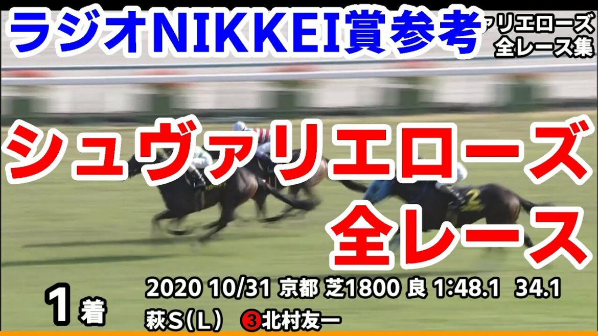 【ラジオNIKKEI賞2021予想参考】シュヴァリエローズ全レース集~皐月賞2021【パドック競馬】