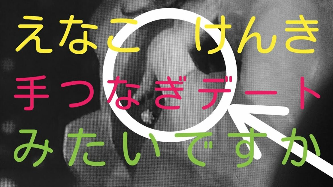 日本一コスプレイヤー えなこ プロゲーマー けんき 手つなぎデート&同棲愛 みたい人へ！　(えなこYouTube　けんき5ch　交際　文春　ダンス　ユーチューバー　アニメ　ゲーム実況　熱愛　かわいい)
