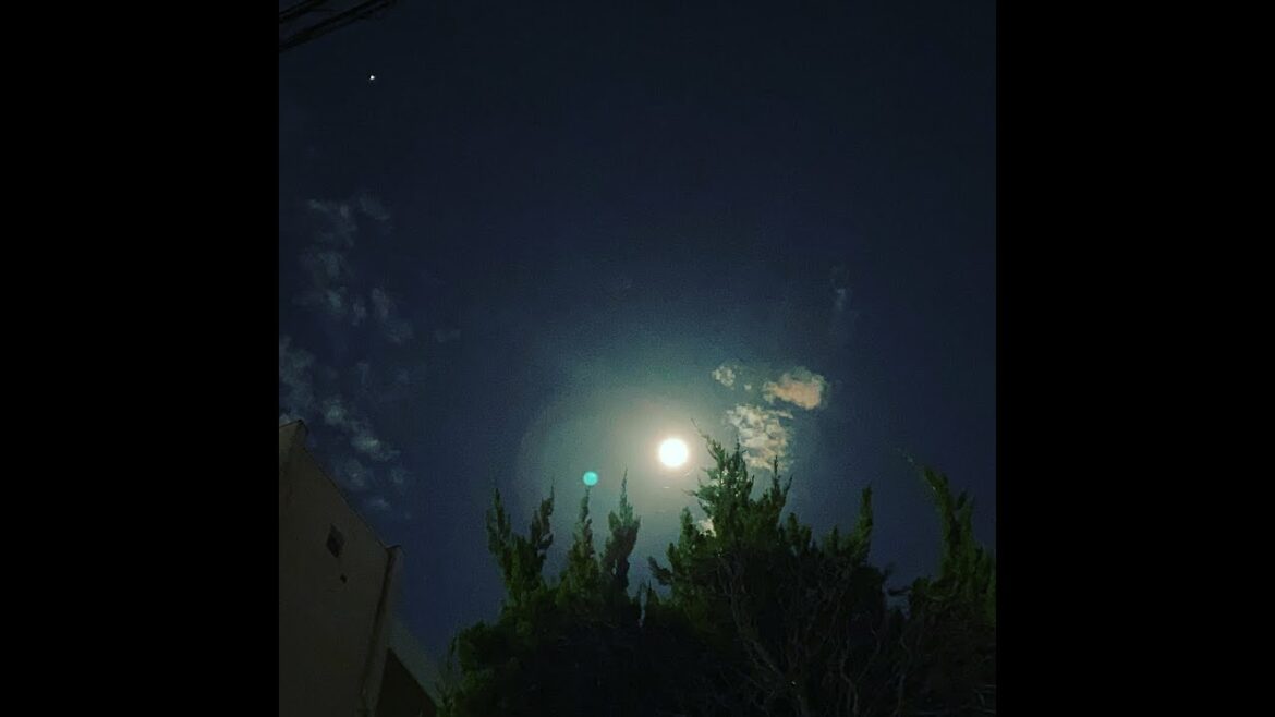 210630ＳＨＯＰ２３６・ライブカメラ #fukuoka #japan #福岡 #イマソラ #livecamera #weather #bgm #live #休憩 #relax　#夏至 #2021