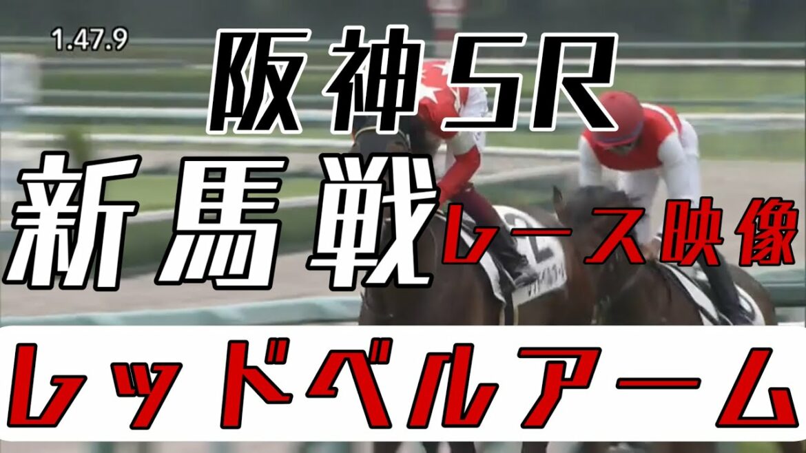 6/27 阪神5R 新馬戦 レース結果【レッドベルアーム】