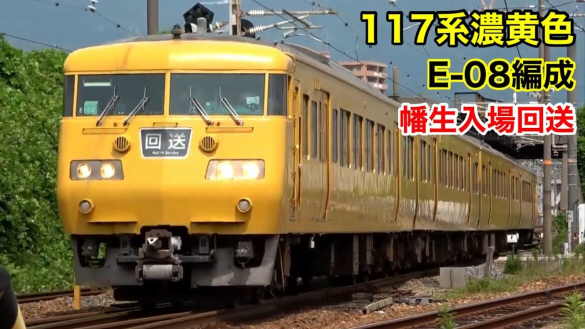 JR西日本 117系濃黄色 E-08編成 幡生入場回送 広島→下関 2021.6