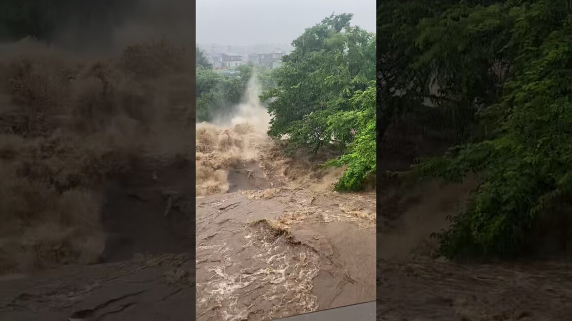 #shorts 線状降水帯による川の増水