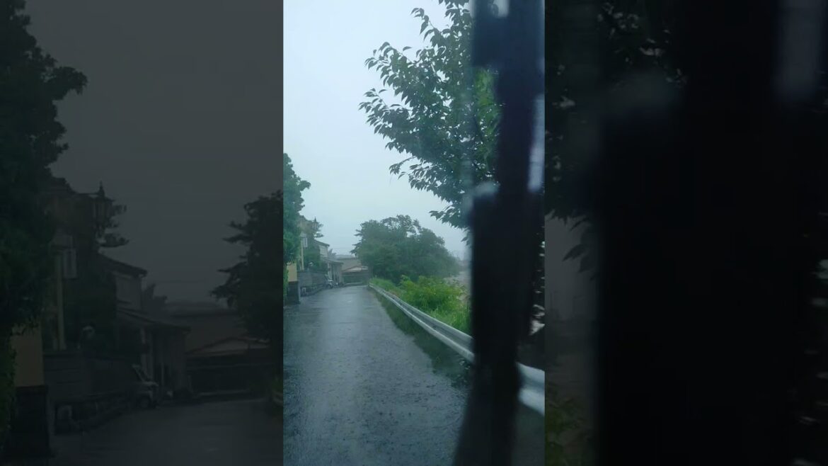 平塚 豪雨 氾濫 金目川 観音橋付近
