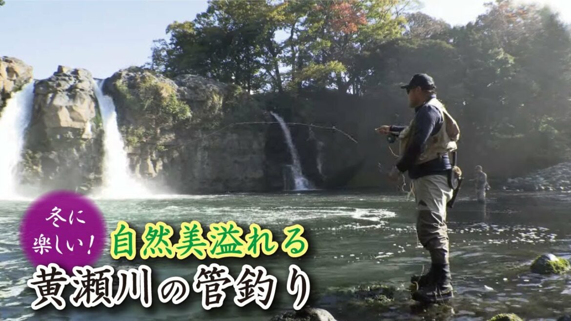 冬に楽しい！自然美溢れる黄瀬川の管釣り