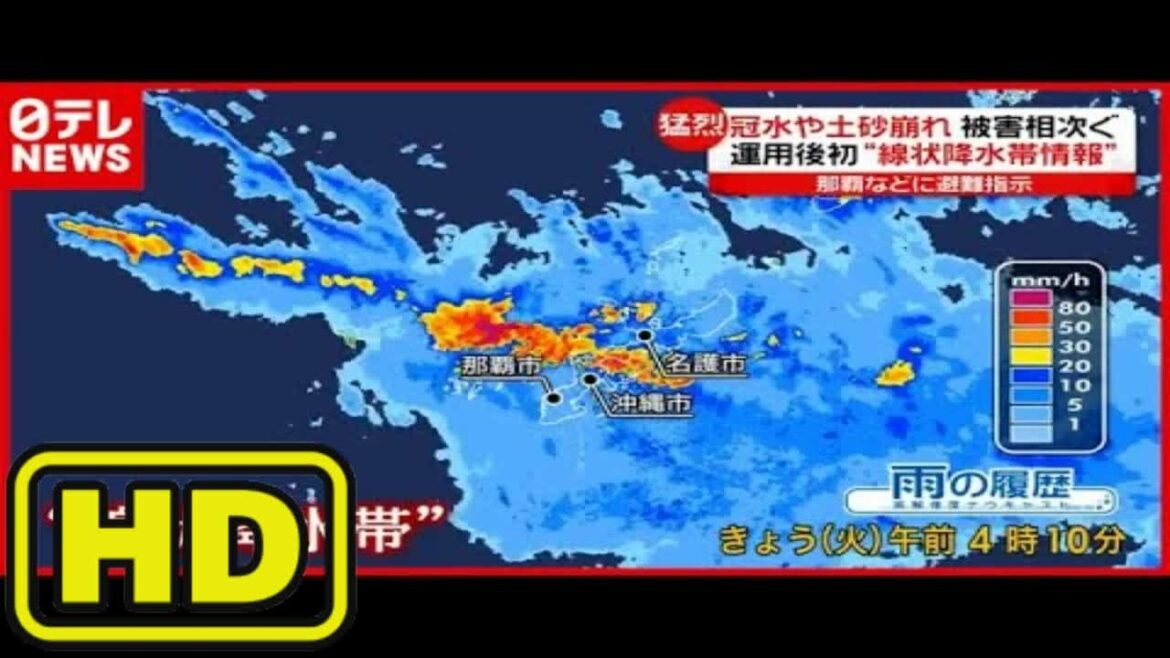運用後初…沖縄で“線状降水帯情報” 土砂災害や冠水相次ぐ（2021年6月29日放送「news every.」より）