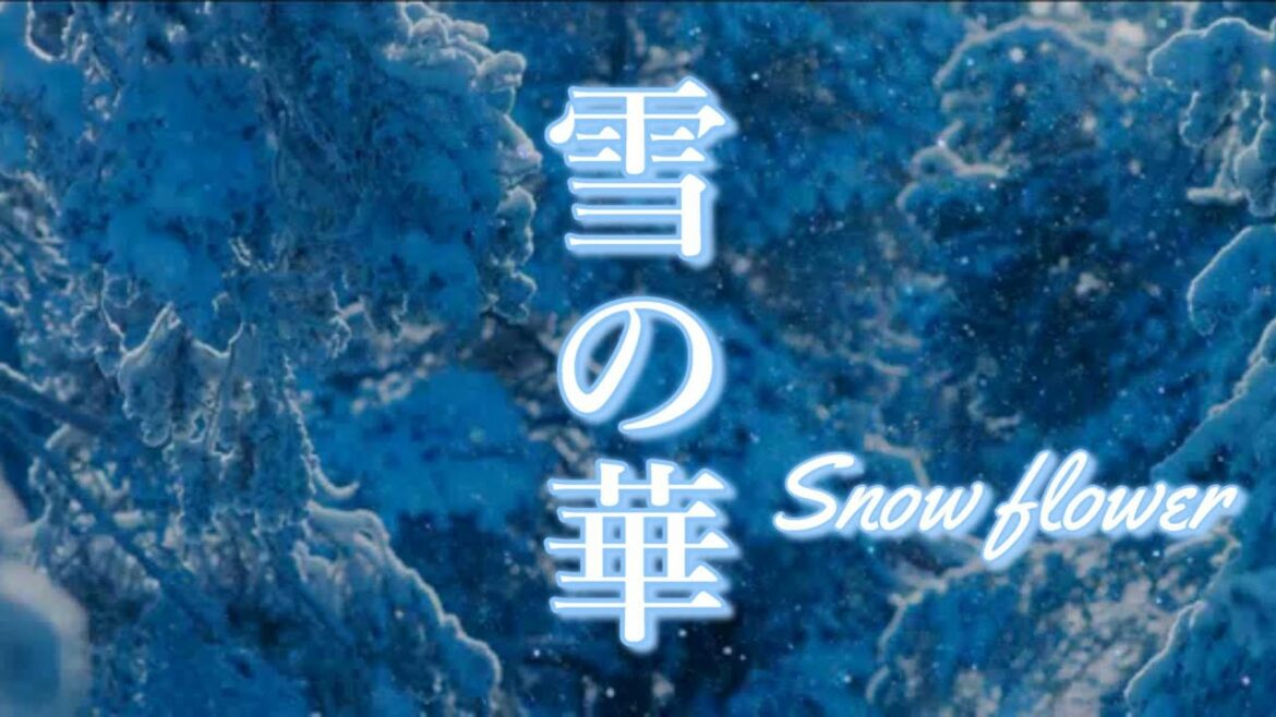 雪の華 Snow flower 【登坂広臣　中条あやみ】