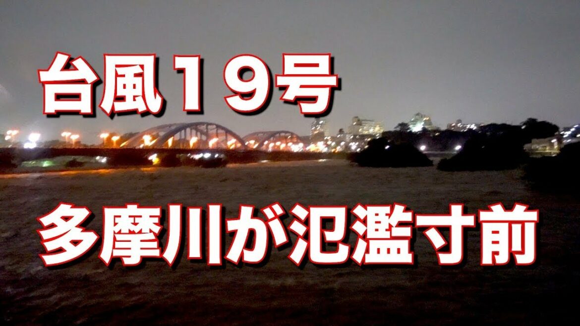 台風19 多摩川が氾濫寸前！危険水位！ Tama River 【多摩川 台風 冠水 氾濫】