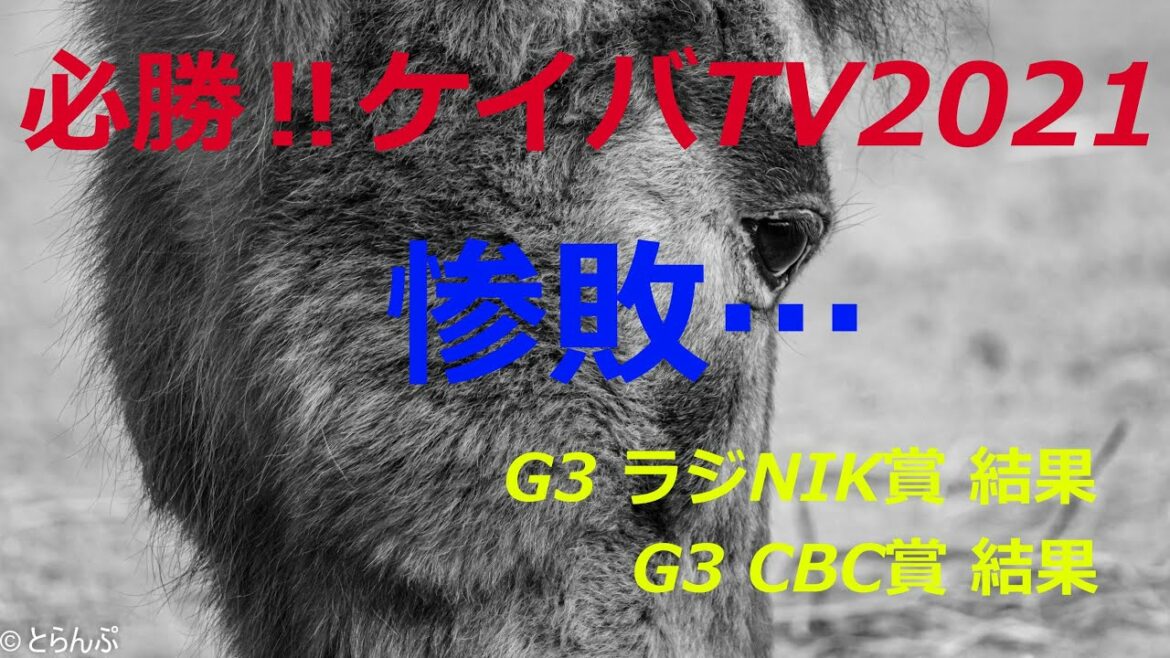 【G3】ラジオNIKKEI賞、CBC賞 惨敗【競馬結果】