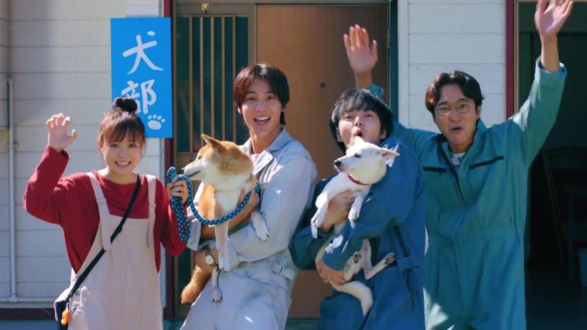 电影预告：日本电影 犬部！主演: 林遣都 / 中川大志 / 大原樱子