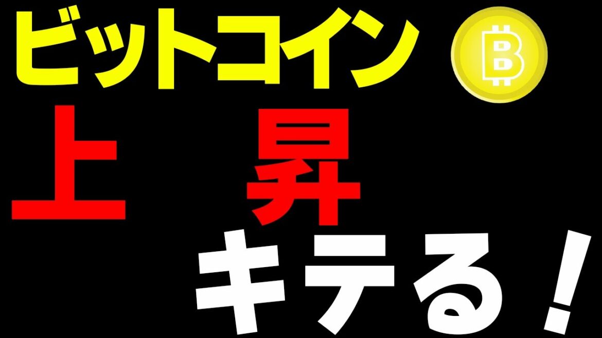 【ビットコイン＆イーサリアム＆リップル＆ネム＆エンジン】仮想通貨　ついに上昇来るか？！アルトも高騰中！！