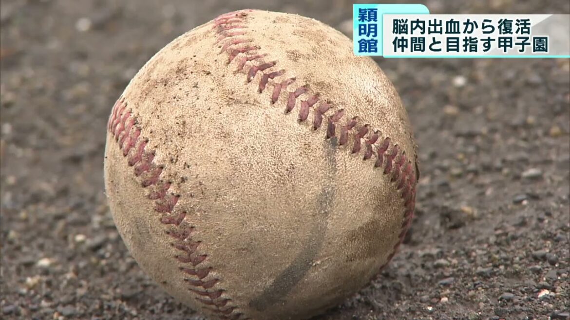 ＜高校野球東京大会＞大けが乗り越え…仲間と目指す甲子園　穎明館高校