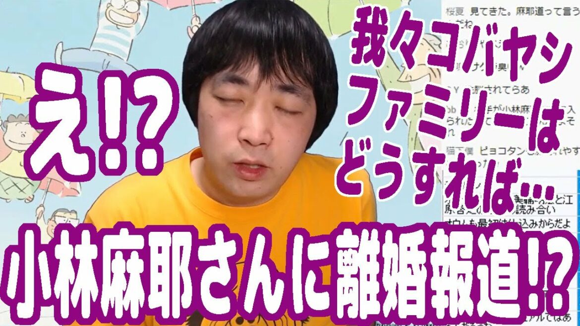 そんなバカな！？あんなに仲の良かった小林麻耶さんとアキラくんが離婚！？我々コバヤシファミリーはどうすればいいの！？【ピョコタン】