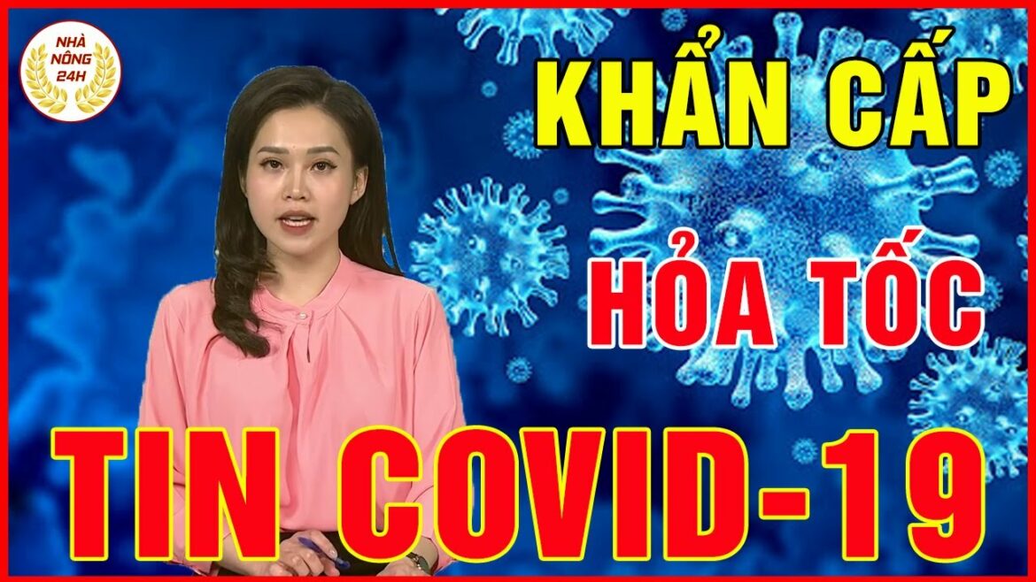 Tin Dịch Covid-19 Mới Nhất Sáng 8/7/2021 | Diễn Biển Virus Corona Ở Việt Nam Chính Xác Nhất Hôm Nay