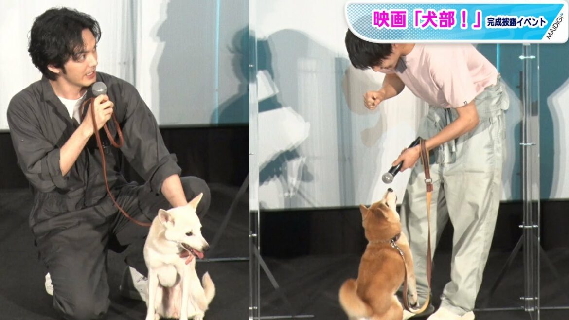 林遣都＆中川大志、犬と“ほっこり”舞台あいさつ　映画「犬部！」完成披露イベント