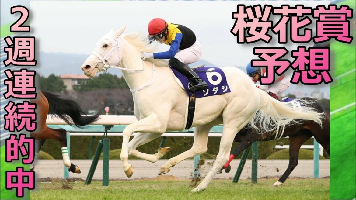 【2021年】桜花賞予想：ソダシ・メイケイエール・アカイトリノムスメ・サトノレイナスの内2頭消す