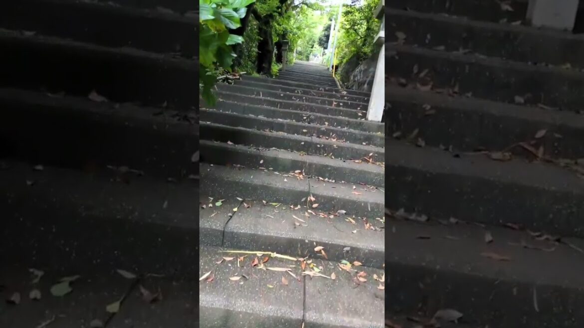 熱海　伊豆山　土砂崩れ　力お貸しください