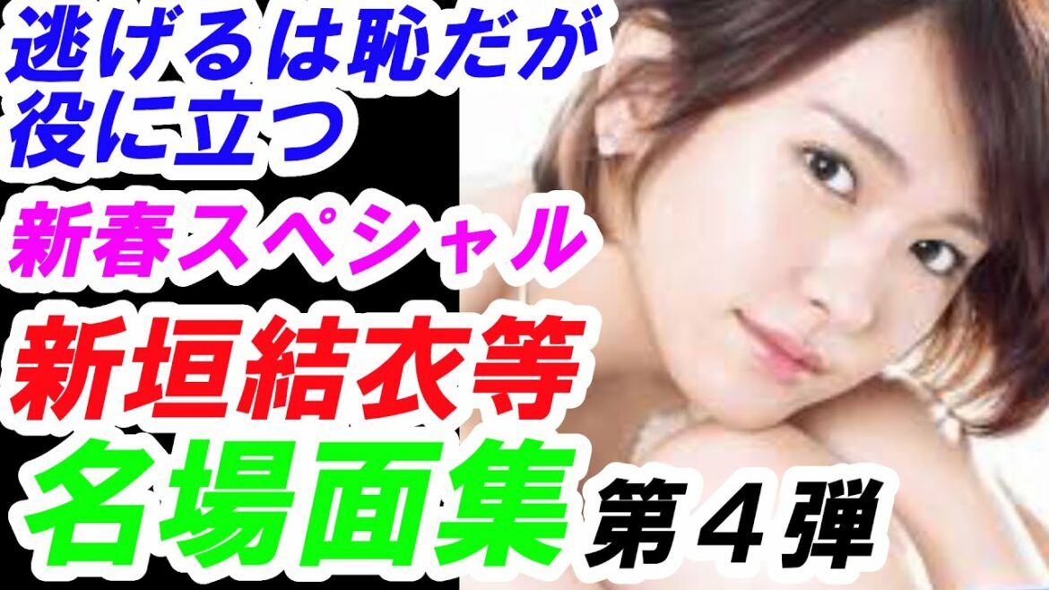 新垣結衣　星野源　逃げるは恥だが役に立つ　第４弾　新春スペシャル版　名場面集　名言集　考察