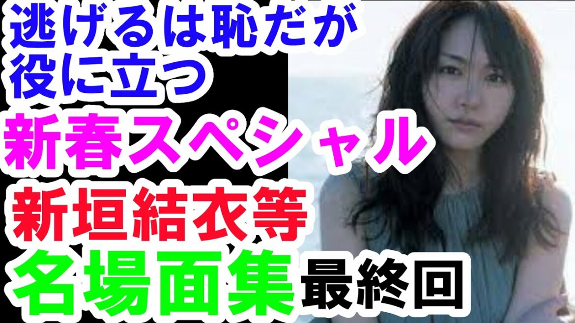 新垣結衣　星野源　逃げるは恥だが役に立つ　第５弾　最終回　新春スペシャル版　名場面集　名言集　考察