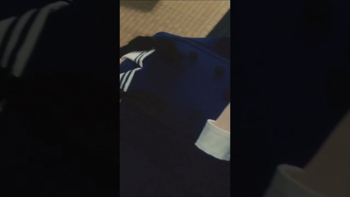 浜辺美波 菅田将暉