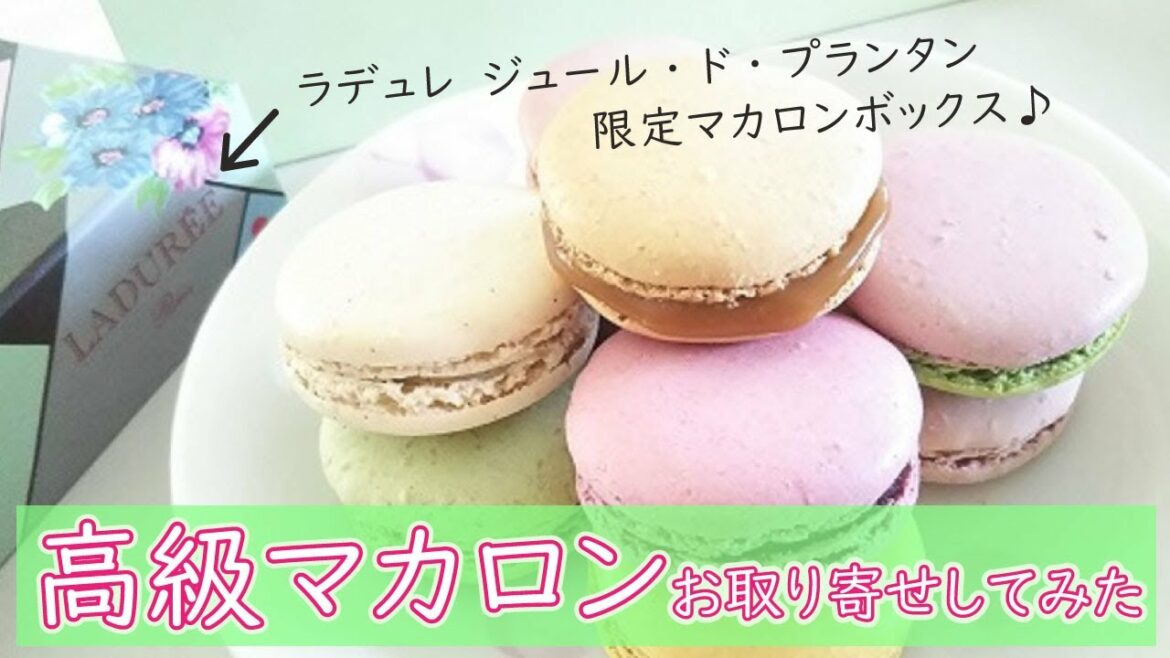 【限定マカロンボックス】ラデュレのジュール・ド・プランタンをガチレビュー！【スイーツジャパン】
