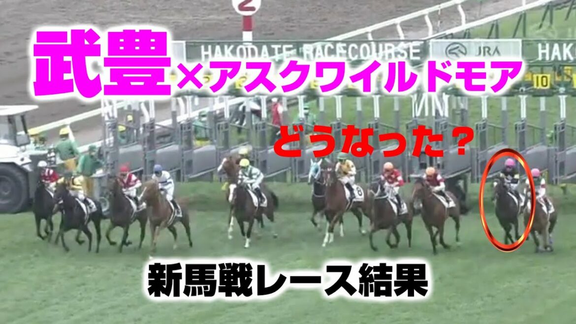 【競馬】武豊×アスクワイルドモア：新馬レース結果（藤原英昭厩舎の有力新馬）