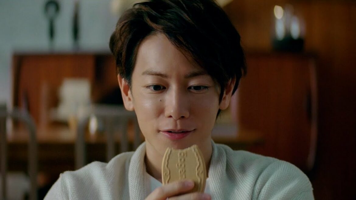 佐藤健 ハーゲンダッツCMまとめ