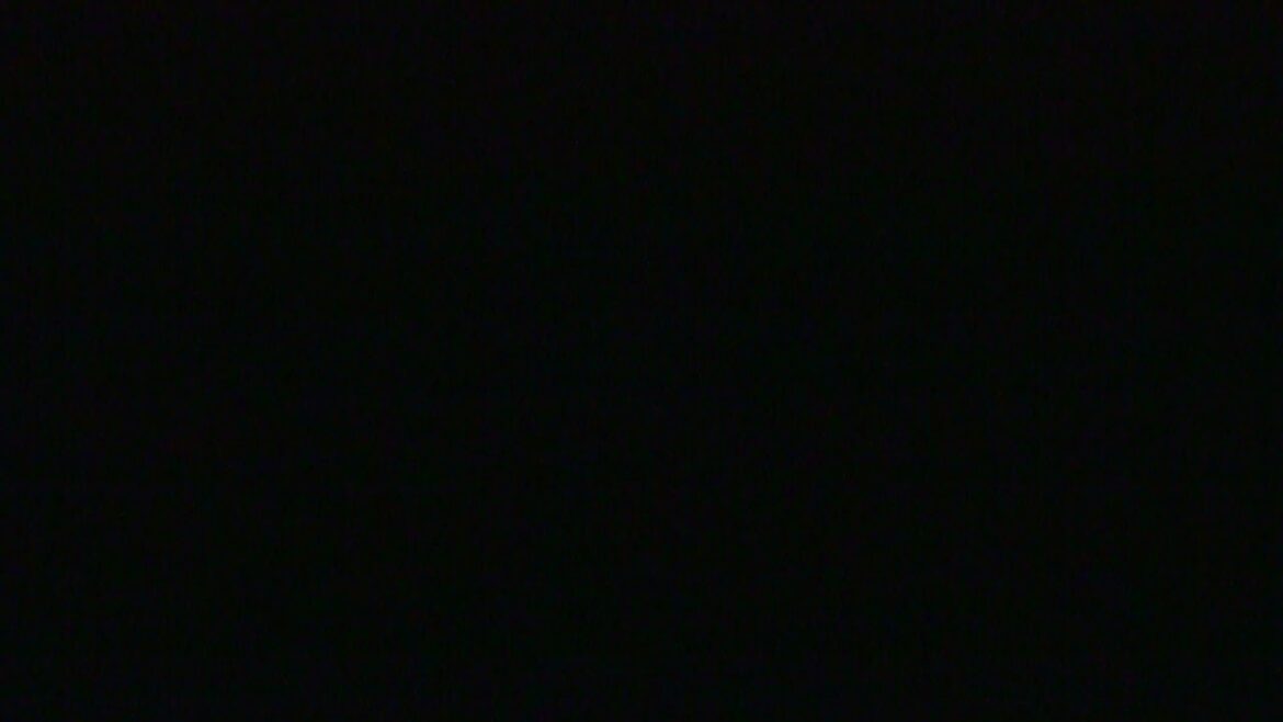 アカペラで米津玄師のPale Blueを歌ってみた