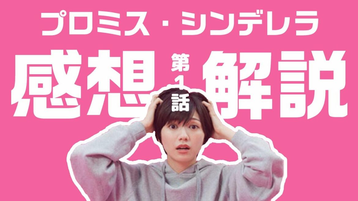 ドラマ「プロミス・シンデレラ」第1話のあらすじと感想と解説と考察 - ネタバレ注意 -