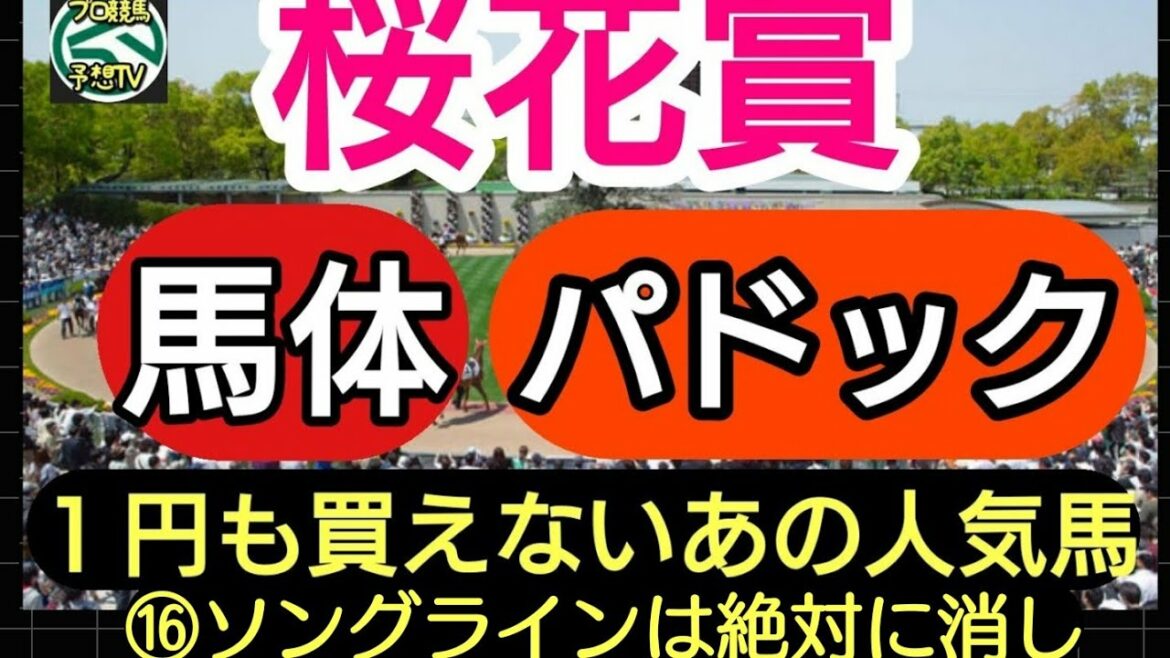 【馬体パドック】桜花賞 ソダシとサトノレイアス  JRA【競馬予想】 レース スポーツ