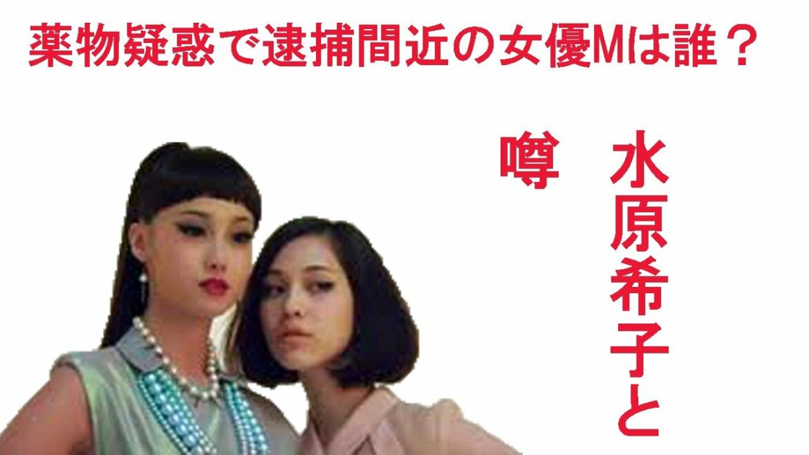水原希子は薬物疑惑で逮捕間近の女優M？