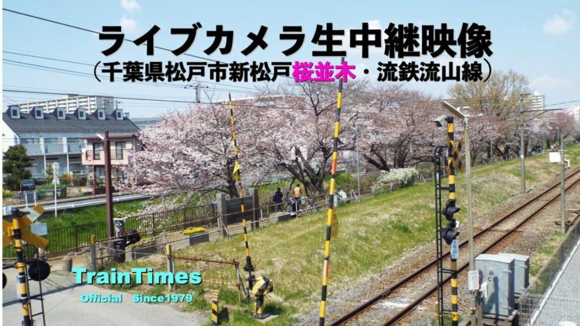 【ライブカメラ／地震情報収録】生中継／千葉県松戸市新坂川桜並木／2021年7月18日【桜並木・流鉄流山線リアルタイム配信】