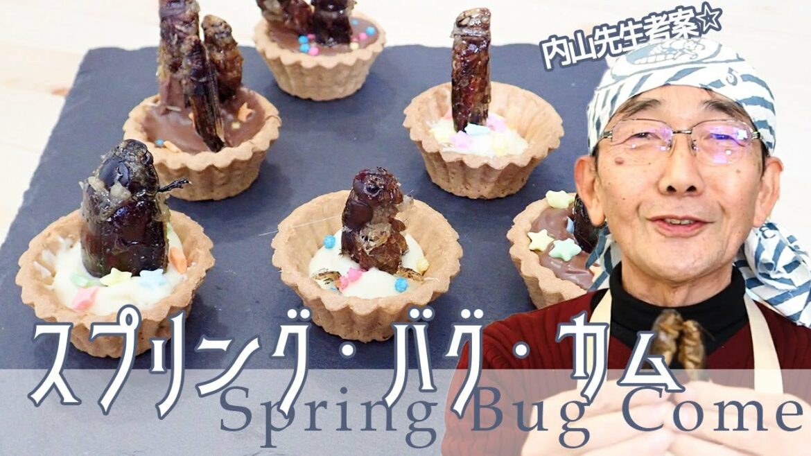 内山流！男子が喜ぶ 虫チョコづくり！｜昆虫食スイーツ｜井上咲楽