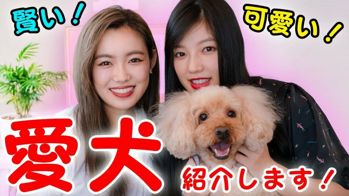【ノノアン】石井杏奈のペットが可愛すぎてつらい。。。！