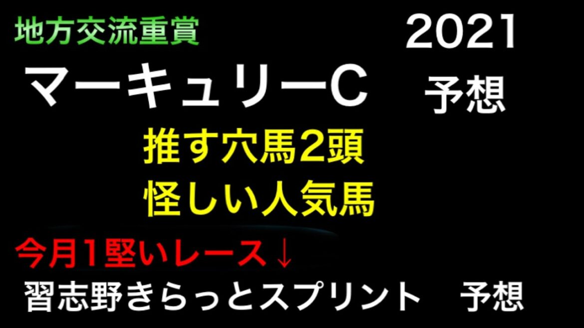【競馬予想】　地方交流重賞　マーキュリーカップ　2021 予想　習志野きらっとスプリント　予想