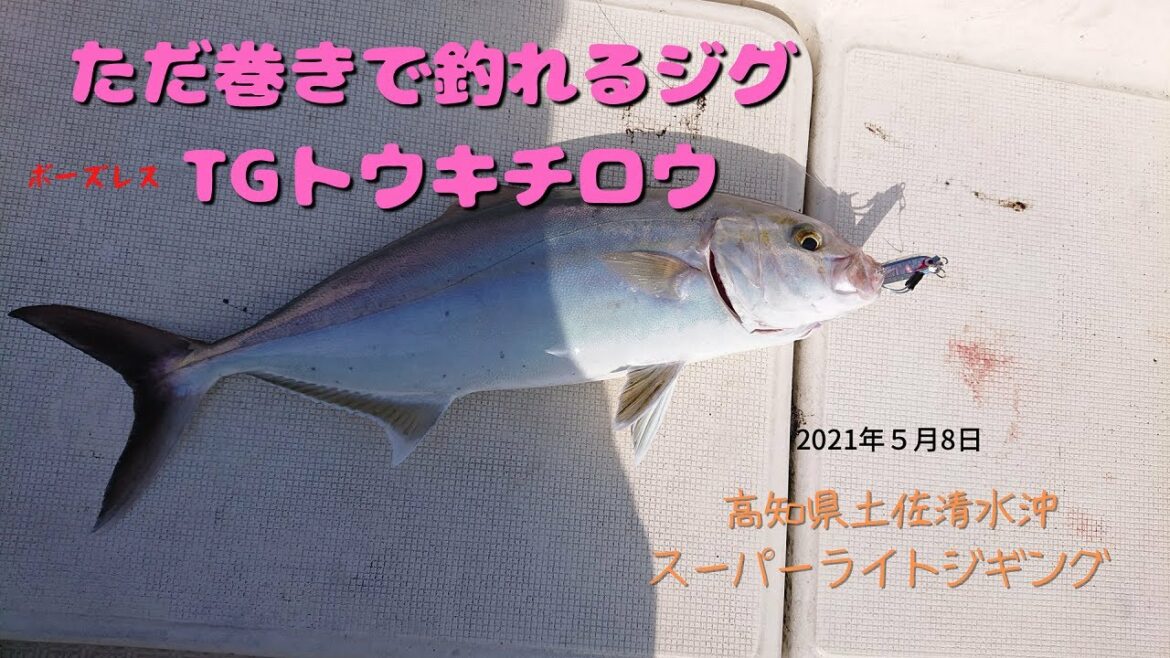 ただ巻きで釣れるジグ　ボーズレス　ＴＧトウキチロウ　【高知県土佐清水沖スーパーライトジギング釣行】