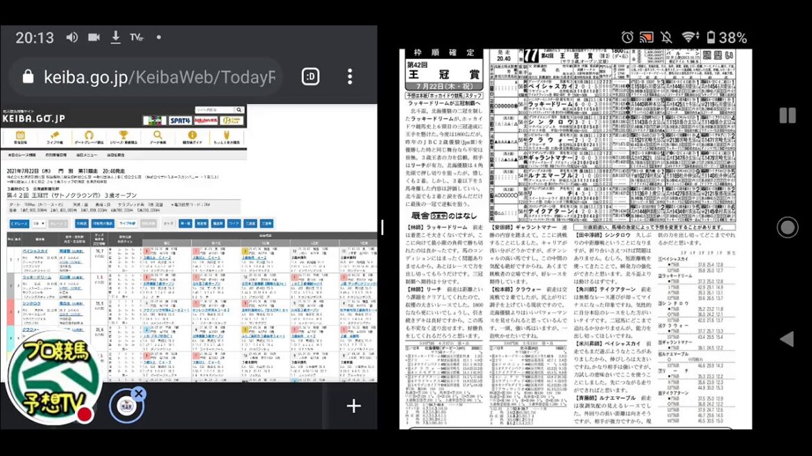 競馬【王冠賞 ラッキードリーム】ﾌﾟﾛ競馬予想TV(horse Racing Sports)