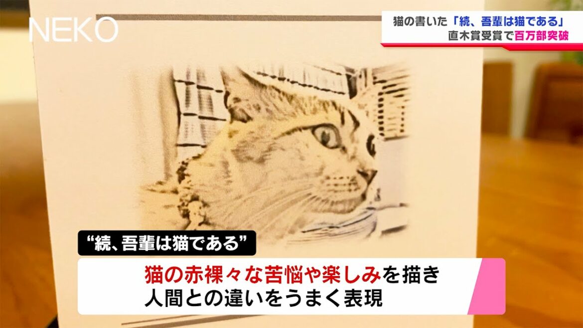 猫の書いた著書「続、吾輩は猫である」直木賞を受賞