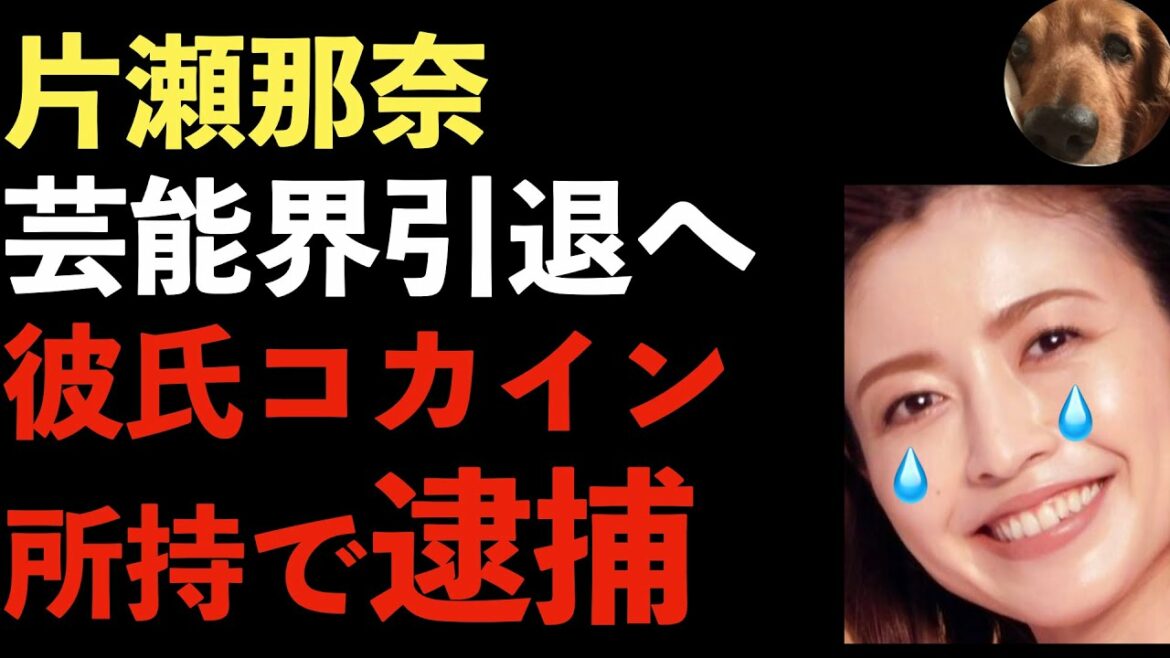 片瀬那奈の彼氏がコカイン所持で逮捕！片瀬那奈は尿検査陰性！IT経営者、IT社長、沢尻エリカ、週刊文春【Masaニュース雑談】
