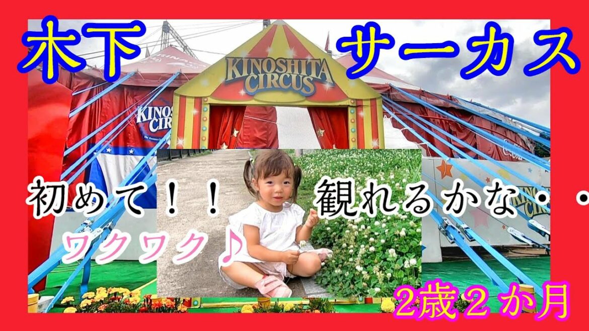 初めて観るサーカス☆木下大サーカス☆大阪公演 )楽しい特設会場♪2歳２ヶ月