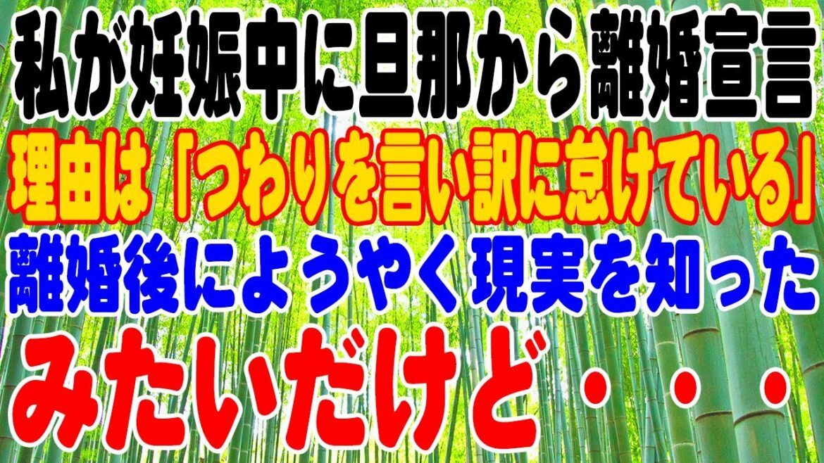 【スカッと】私が妊娠中に旦那から離婚宣言。理由は「つわりを言い訳に怠けている」。離婚後にようやく現実を知ったみたいだけど・・・