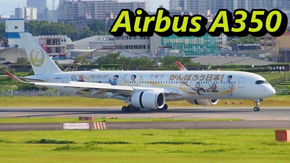 【離陸】 金色のJAL　エアバス A350　伊丹空港